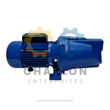 Dayuan Jetmatic Water Pump - 0.75HP / 1HP / 1.5HP / 2HP