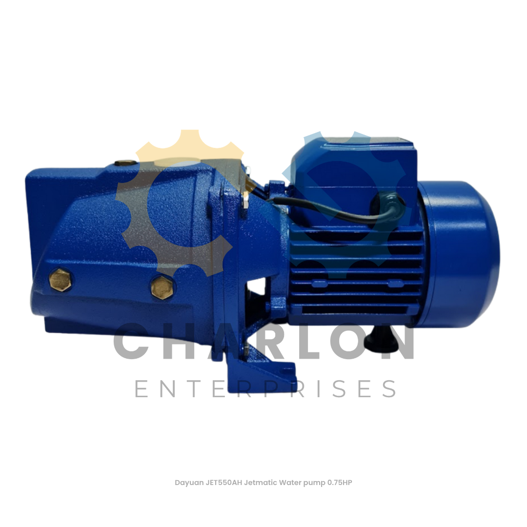 Dayuan Jetmatic Water Pump - 0.75HP / 1HP / 1.5HP / 2HP