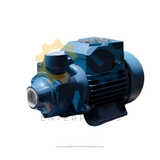 Sea Pump QB60-SP 1/2HP Peripheral Pump