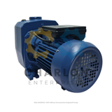 Wizz Deepwell Pump No Accessories - 1HP / 1.5HP / 2HP